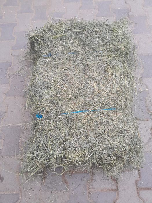 Vând baloți mici de fân