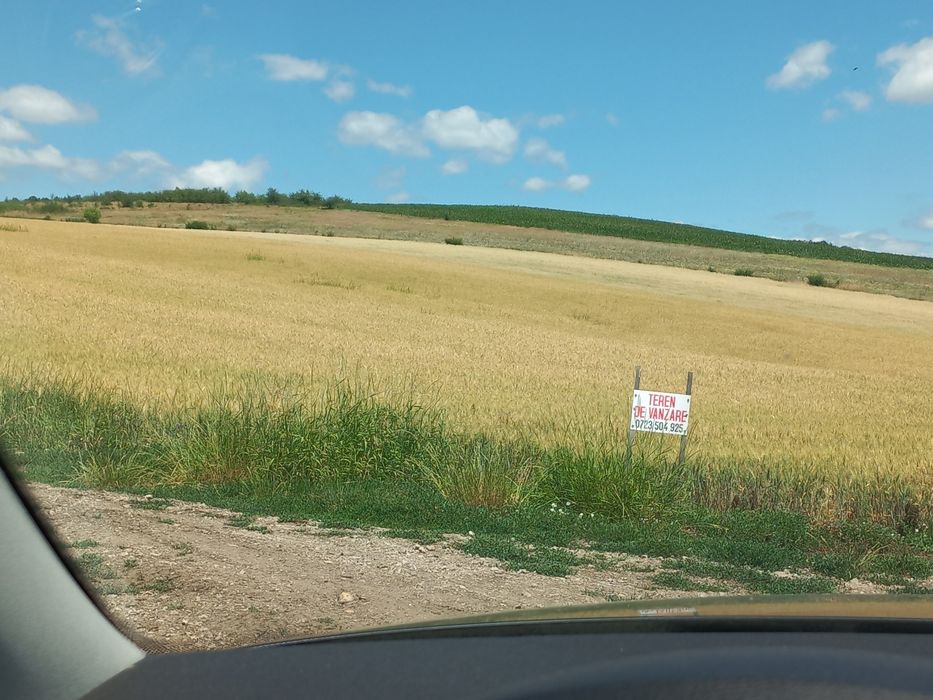 1,7 ha de teren, expunere sud,  pentru casă în livadă