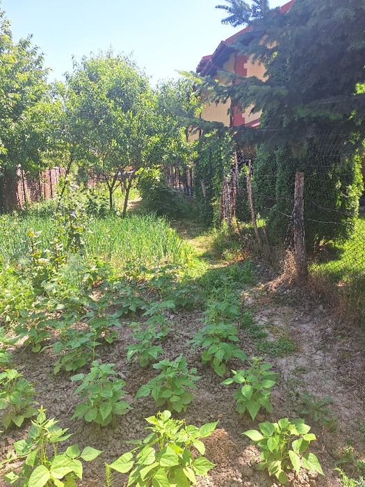 Teren si casa Curtea de Arges