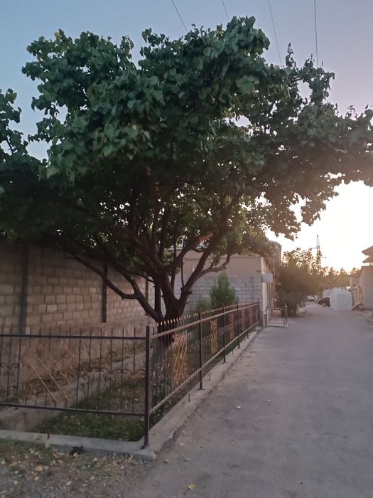 Ховли Срочно сотилади Аргунда