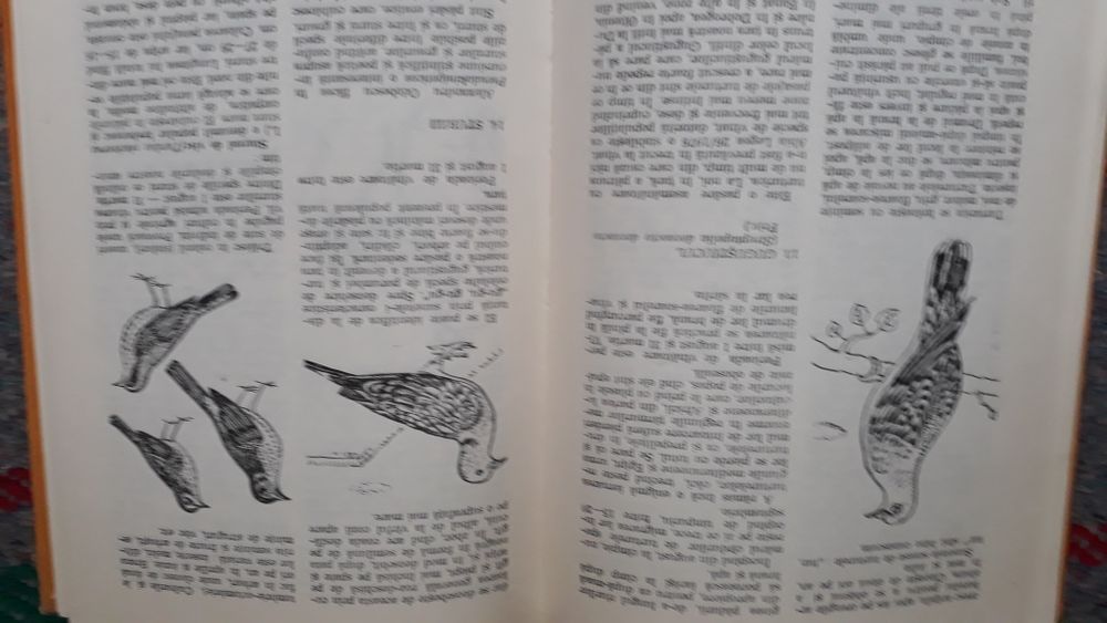 Carte Pădurea vinatul și turismul