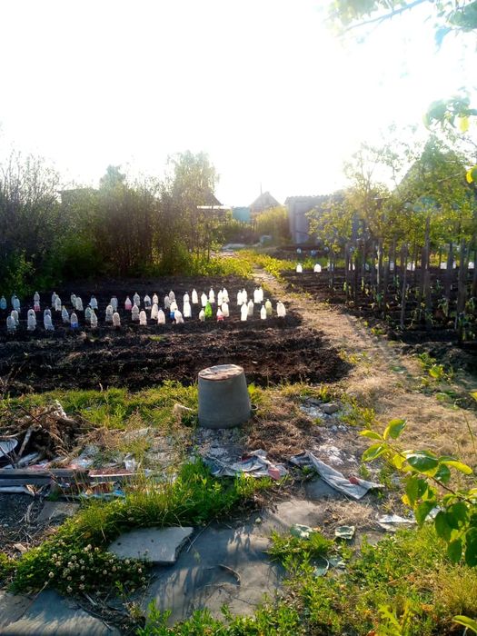 Продам дачу возле Новопавловки.