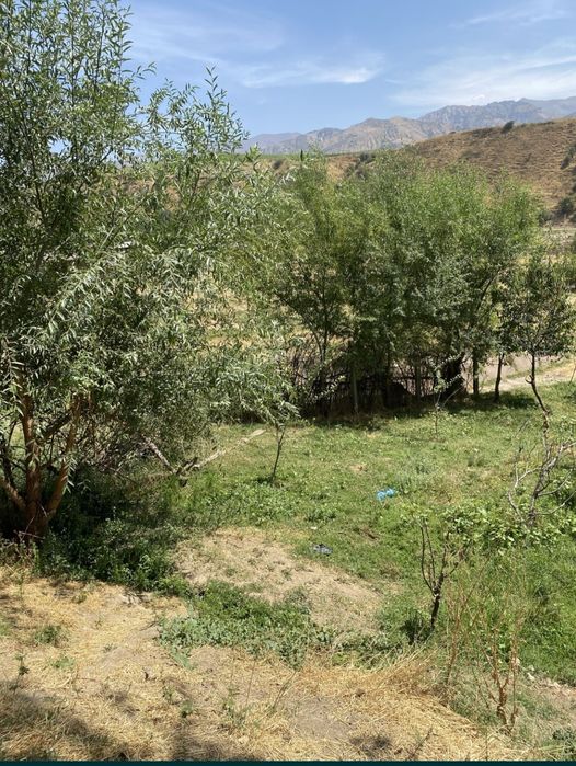 Tog' etagida yer uchastkasi sotiladi