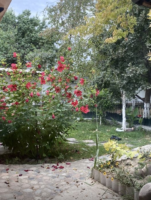 Янги Ташкент дом 6 комнат, на участке 12-Соток.