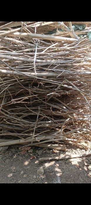 Otin tekinga bervoraman