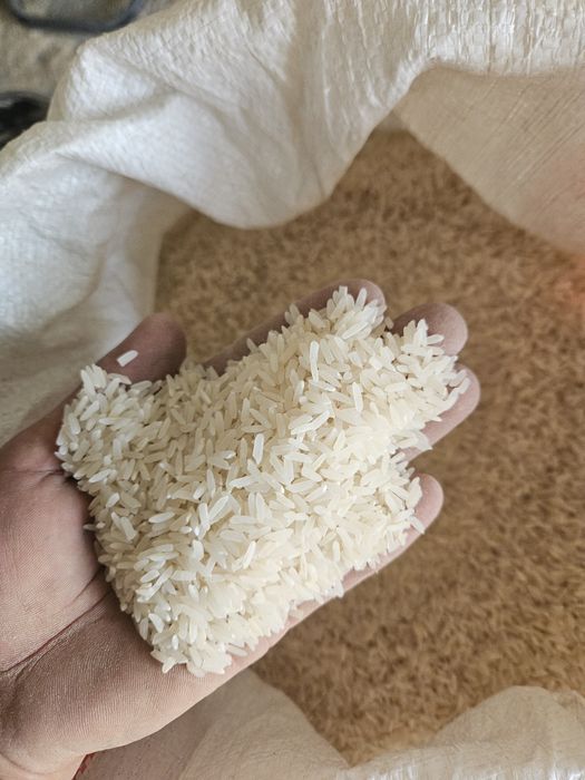 Лазер куріш бар Рис лазер