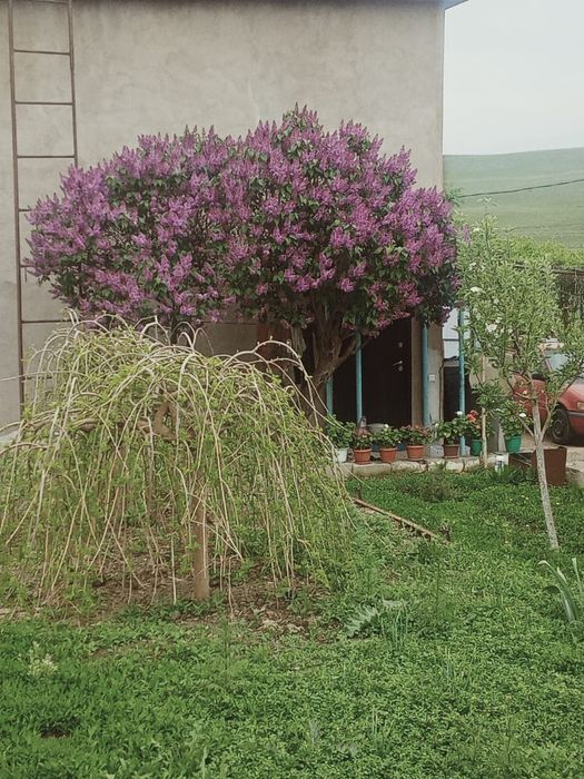 Срочно продам дом - дача