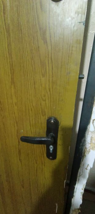 Дверь металлическая  80 & 200