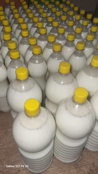 Продам Кымыз Абайский Саржал 100% доставка