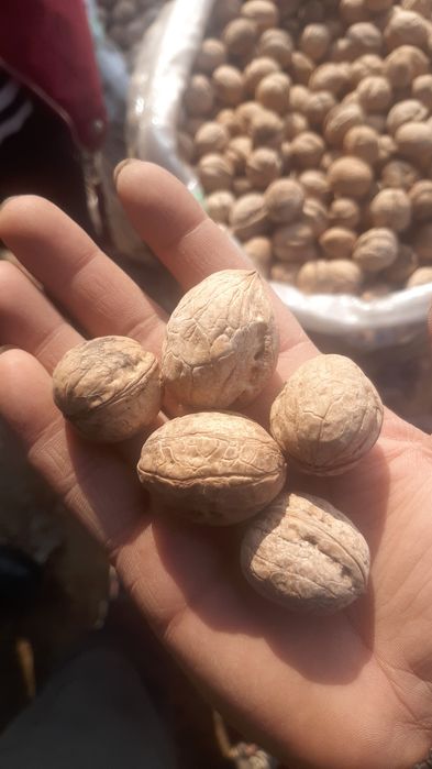 ОРЕХ (Сухофрукты ,жангак )ОРЕХ