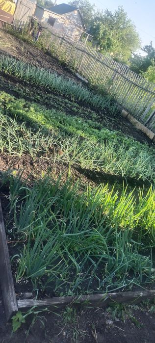 Продам дачу гудок ( Эврика)