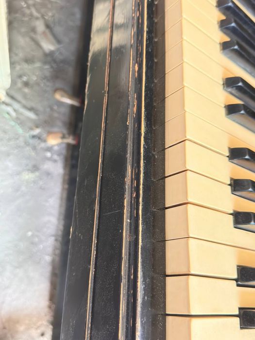 Piyanina 150$ dolir kilishamiz
