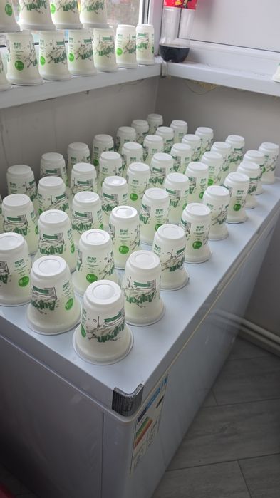 Молочные продукты. Айран