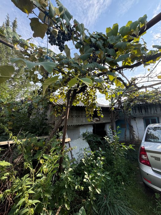 Casa batraneasca de vanzare
