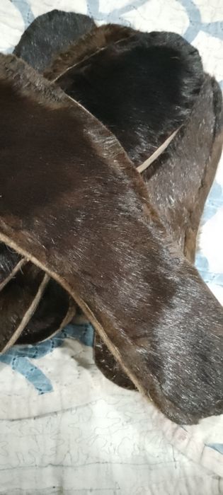 Стельки из собачей шкуры