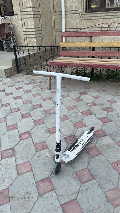 Сомакат трюкавой