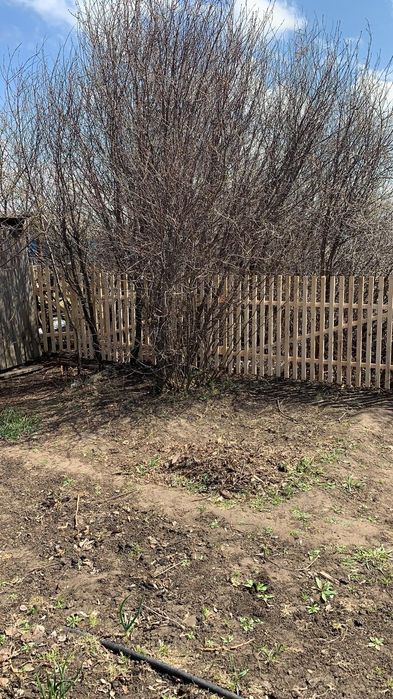 Штакетник, запись на весну  установка ,