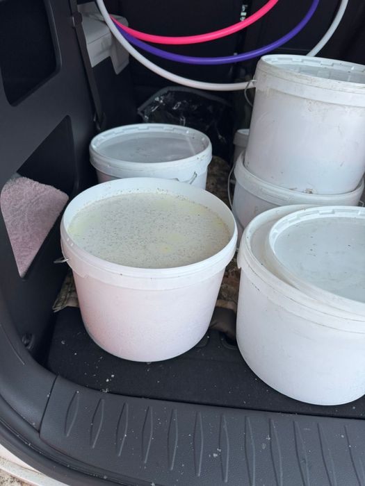 Продам Катонский мед разнотравие