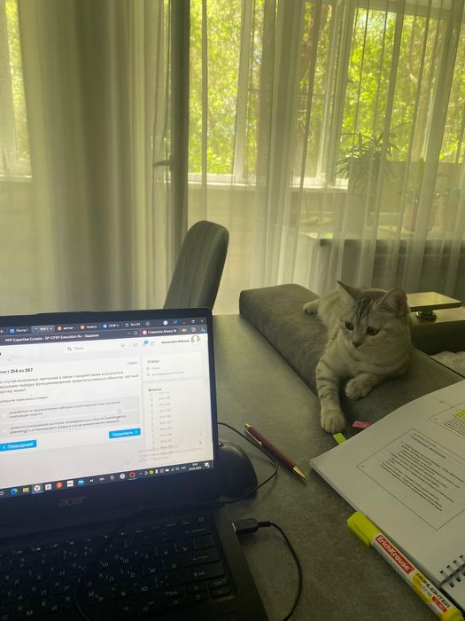 Отдам кошечку, 10 месяцев