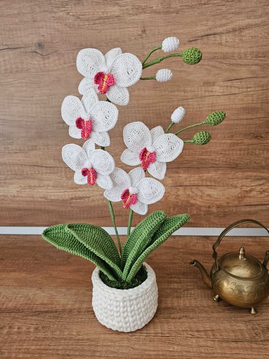 Плетени орхидеи...