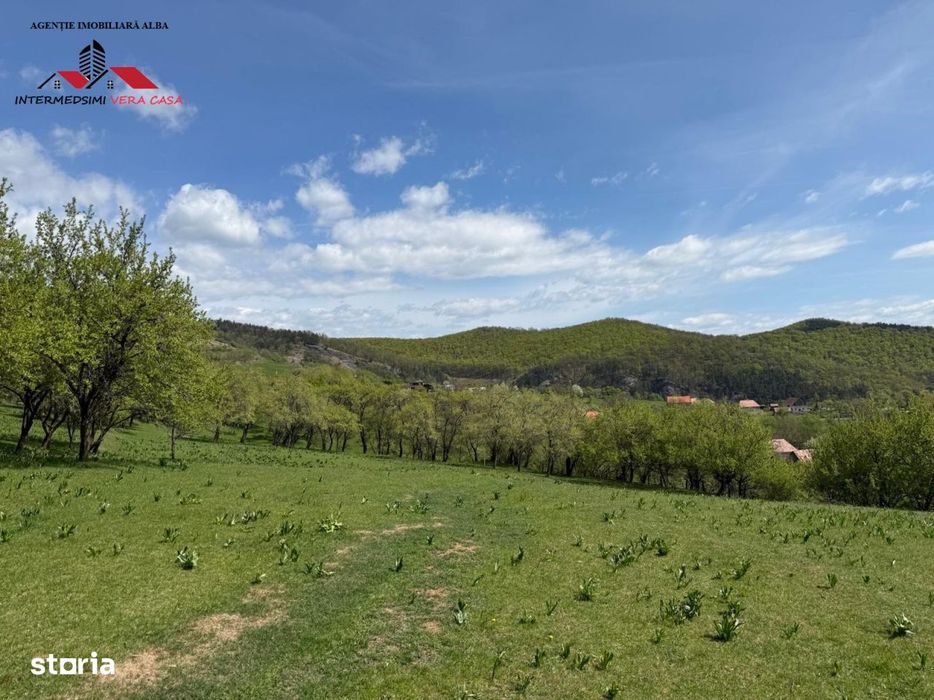 Teren intravilan 8330 mp de vanzare in Inuri Jud Alba