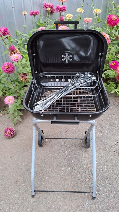 Гриль угольный с шампурами и стартером.