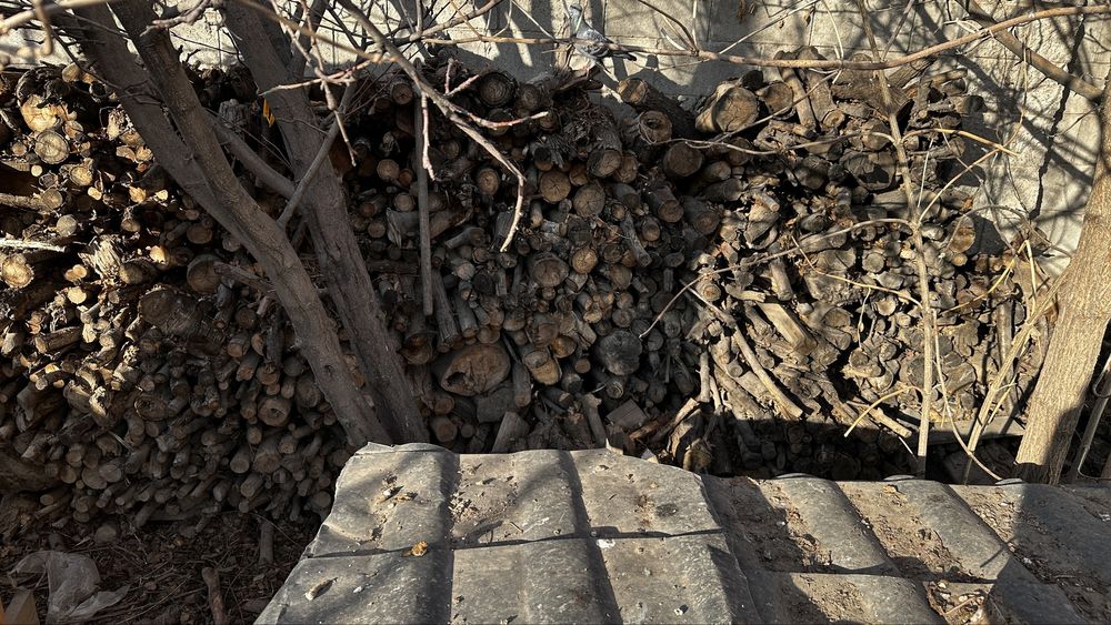 Дрова бесплатно готовые