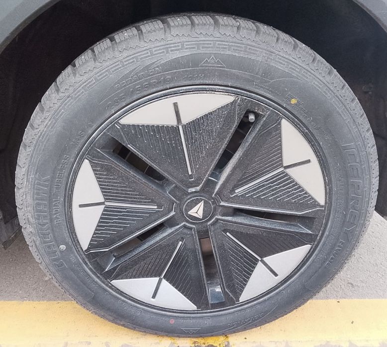 Зимние шины с шипами