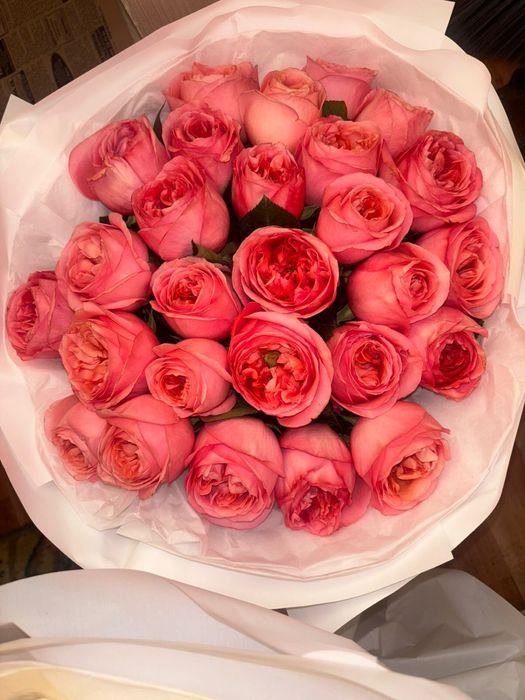 розы, цветы, гүлдер