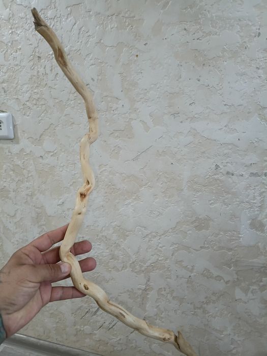 Коряги аквариумные