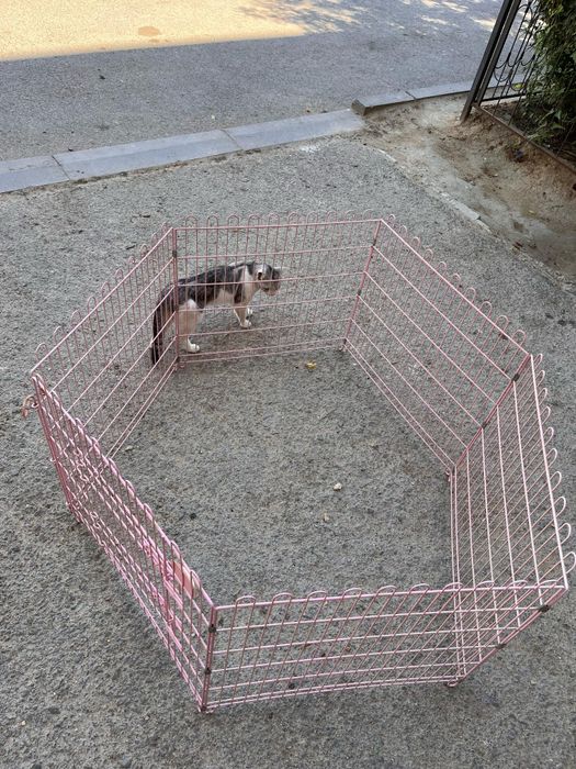 Продается вальер для животных