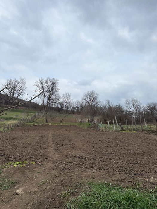 Casă, teren intravilan 1800mp, anexe, acoperiș nou