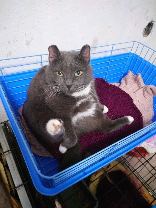 Мусе нужен человек