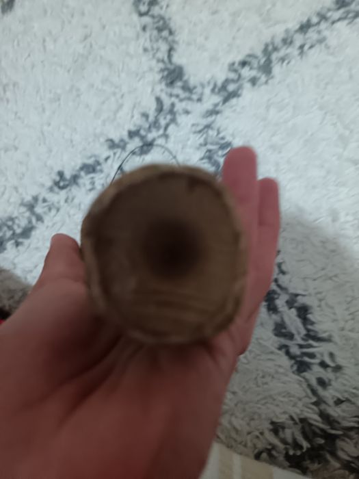 Kendama europe record