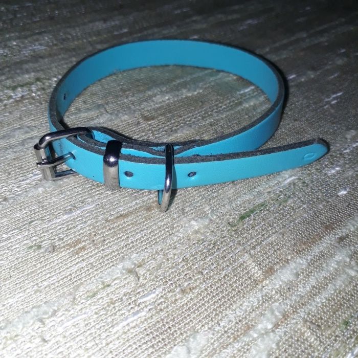 Lot îmbrăcăminte și accesorii cățel talie mică