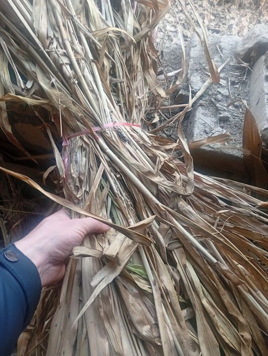 Juvari poya sotiladi 1000 vog' qoldi