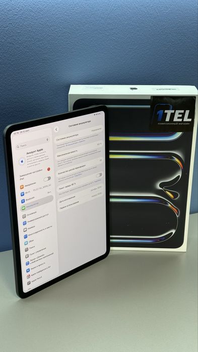 Ipad Pro 11 M5 2025