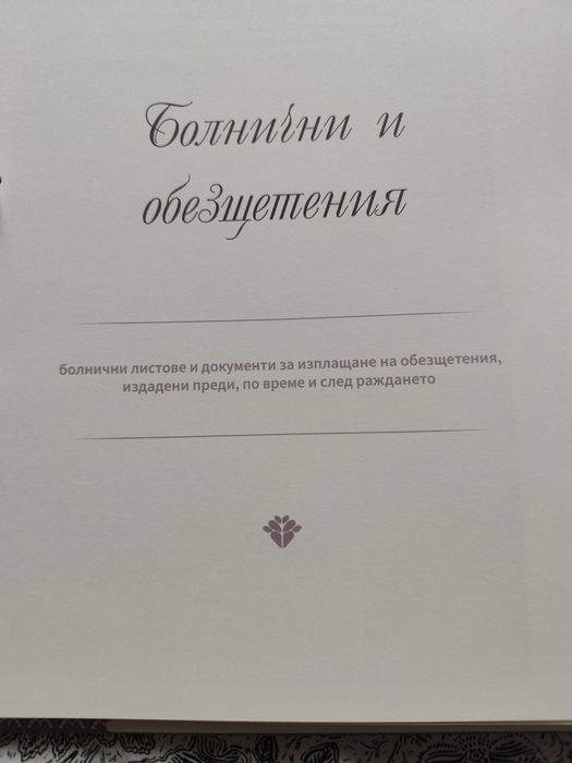Луксозен органайзер на бременността