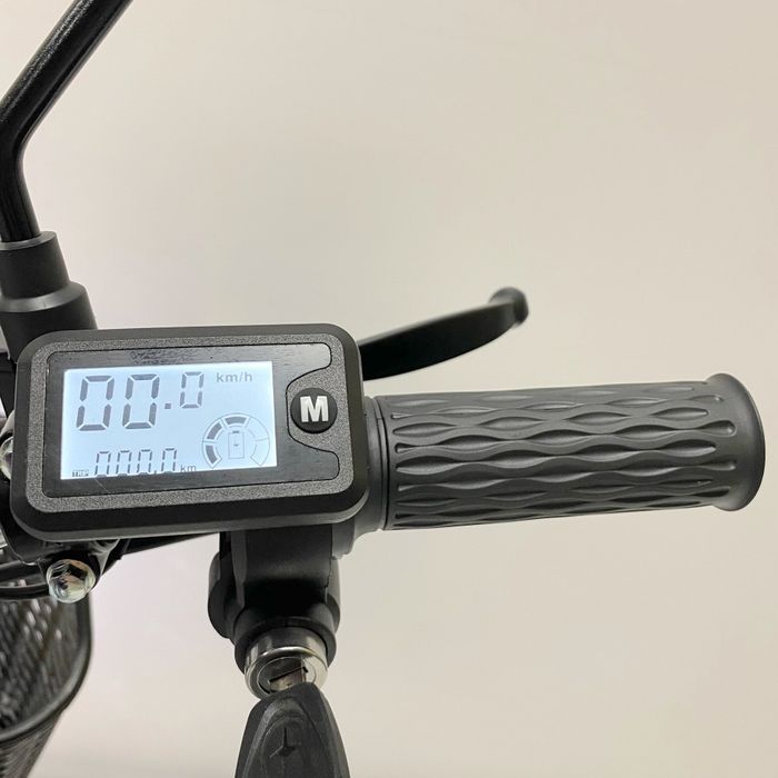 Электровелосипед, GreenCamel Транк Монстер.