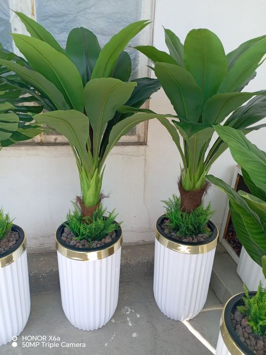 Сунний декор гуллар оптом нархларда.Навои шахар.