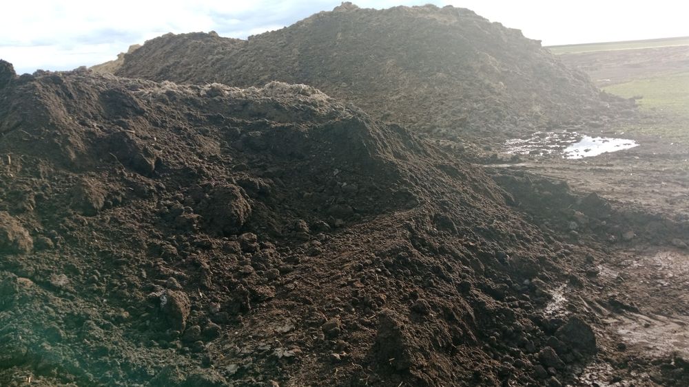 Перегной + Чернозем высшего сорта !