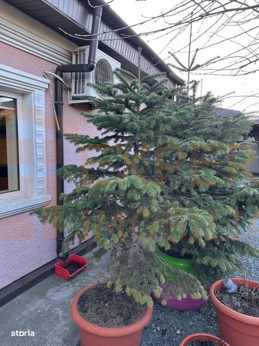 Casa 3 camere de vanzare zona Palas – 92 mp utili, teren 200 mp