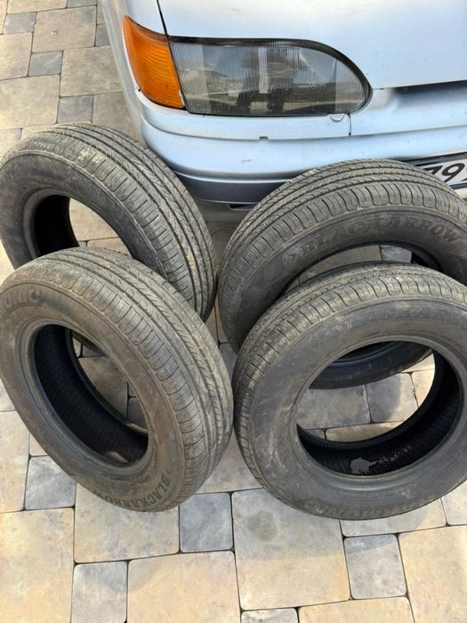 Продам летный ризина R13