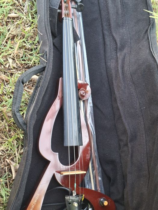 Vioara electrica .