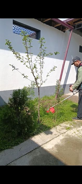 Gazon газон газонкасилшик