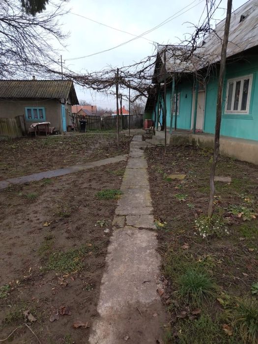 casa si padure de vanzare