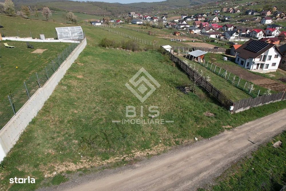 Teren de vanzare 10 ari - zona LEONI