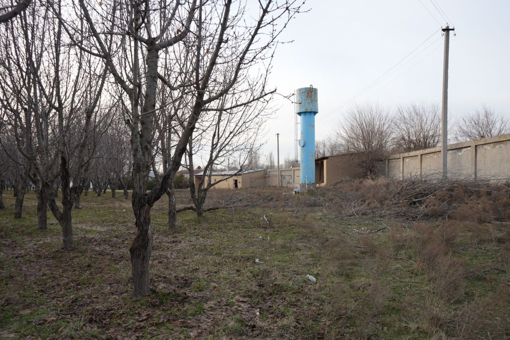 Дача с бассейном и фермой в городе Нуравшон (бывшая Тойтепа)