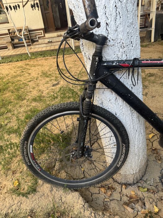 Velosiped velik