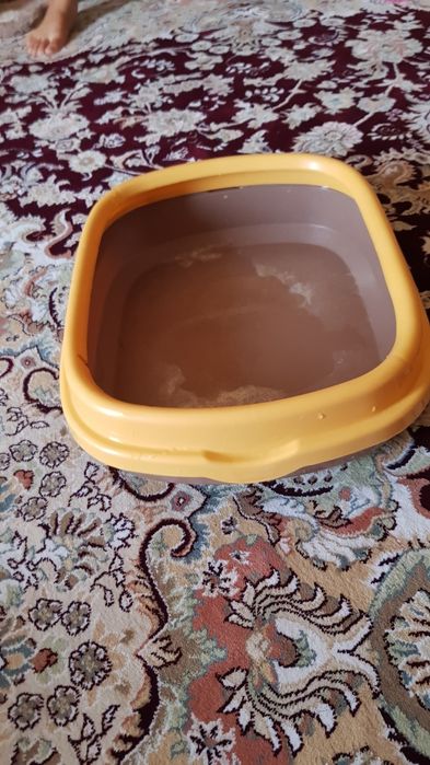 Лоток для кошек и котов